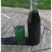 Sirop de menthe maison au thermomix ou sans - La cuisine de poupoule