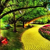 "Follow The Yellow Brick Road" - La route d'un parcours initiatique expliqué aux enfants pour prendre le chemin du libre examen, c'est tout l'univers du "Magicien d'Oz"