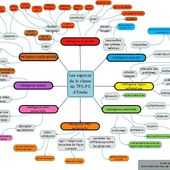 les espaces consacrés aux intelligences multiples - la classe de PS d'Emilie