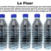 Liste des eaux minérales qui contiennent le plus de fluor - Le Nouveau Paradigme