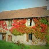 Location Camp Palettes - LES VOIVRES 88240