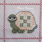 Supplément pour album : Tortue Fantaisie Verte - Chez Mamigoz