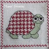 Supplément pour album : Tortue Pied de Poule - Chez Mamigoz