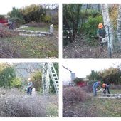 Gros travaux d'automne au Jardin de Fille - Chez Mamigoz