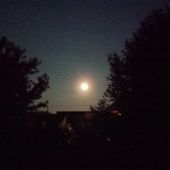 Un Rendez-Vous incontournable : Vénus/Jupiter - Chez Mamigoz