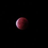 Très Belle nuit au clair de Lune Sanguine. - Chez Mamigoz