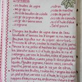 Livre Recettes Brodées de Mamigoz : Feuilles de Vigne farcies au riz - Chez Mamigoz