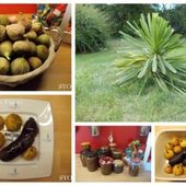 Petits Potins d'Automne au Jardin de Fille - Chez Mamigoz