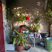 Petits Potins de fin octobre, au Jardin de Fille. - Chez Mamigoz