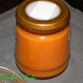 Coulis de tomate au thermomix