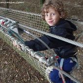 Accrobranche au Davy Crockett parc testé et approuvé par le ouisiti