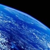 Nous sommes dans les premiers jours de la sixième extinction de masse biologique