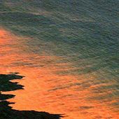 L'eau des plages de la Floride devient rouge - Bienvenue sur le blog de Ben Garneau = Nibiru , catastrophes naturelles et déplacement des pôles