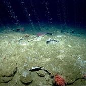 Des centaines de fuites de méthane détectées dans les océans - MOINS de BIENS PLUS de LIENS