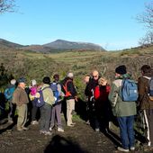 Les journées internationales des forêts à Vira (66) en 45 photos - Autour de
