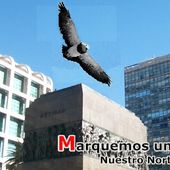 Artigas el Guerrero un Inchalá 24 9 14 - Marquemos un Norte