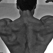 Pourquoi le coaching ? - Conseils et suivi en Musculation, Nutrition, Développement Personnel