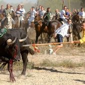 Signez une petition contre les toros de la vega