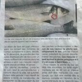 PÊCHE SPORTIVE & LOISIR ECO-RESPONSABLE QUOTATS SUR LE BAR - guidepechebretagne.com