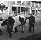 GRÈVE DES MINEURS DE FER - TRIEUX 1963 - LE BLOG DE GERALD BLONCOURT