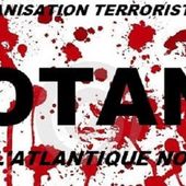 La France revient définitivement dans le giron de l’OTAN.