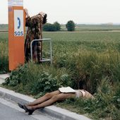 Indiscrétion #1 / Sos d'un animal en détresse !