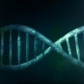 The art and science of DNA activation, healing and repair
