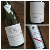 Autour de la Syrah ou Shiraz... - Les Larmes de Vin