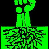 ★ Écologie radicale : attaquer le mal à la racine - Socialisme libertaire