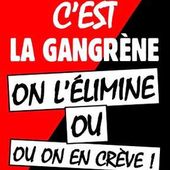 Fiche technique : comment reconnaitre un "rouge-brun" ? - Socialisme libertaire