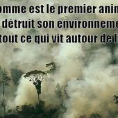 Comment la finance " verte " détruit l'Amazonie - Socialisme libertaire