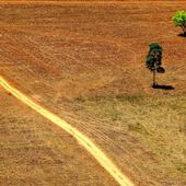 Comment la finance " verte " détruit l'Amazonie - Socialisme libertaire