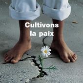 La guerre, c'est la santé de l'État - Socialisme libertaire