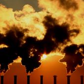 ecologie - Socialisme Libertaire