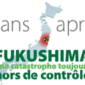 Fukushima : cogérer l'agonie - Socialisme libertaire