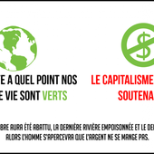 Le capitalisme, vert ou pas, est un suicide écologique - Socialisme libertaire