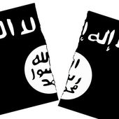 " Administrer la sauvagerie " : généalogie de l'organisation État islamique - Socialisme libertaire