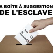 ★ Les anarchistes et les élections : histoire, théories et pratiques - Socialisme libertaire