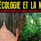 Leur écologie et la nôtre - Socialisme libertaire