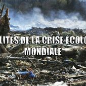★ 15 réalités de la crise écologique mondiale - Socialisme libertaire