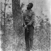 Strange Fruit - Eloge de l'arbre