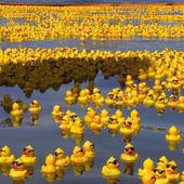 L'ALLIBERAMENT DELS PLÀSTICS: UNA QÜESTIÓ DE CIÈNCIA. - El blog de mcolille