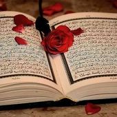 CONVERSION A L'ISLAM POUR UN MARIAGE FRANCO MAROCAIN - Mariage Franco Marocain