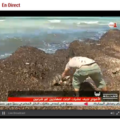 MEDI1 TV EN DIRECT, Chaine tv marocaine medi1 à voir en direct. - Mariage Franco Marocain
