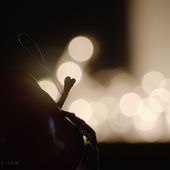 Travailler le bokeh...