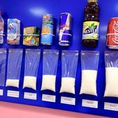 Les capteurs sanguins de sucres rapides génèrent la faim - Doc de Haguenau
