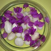 Humour pot-pourri: Recueil non fleuri