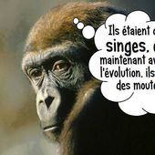 Humour Peuple: Singe évolué en mouton