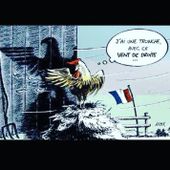Humour Elections Régionales: Le nouveau coq aiglé ?