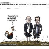 Humour Elections Régionales: les pieds dans la merde
